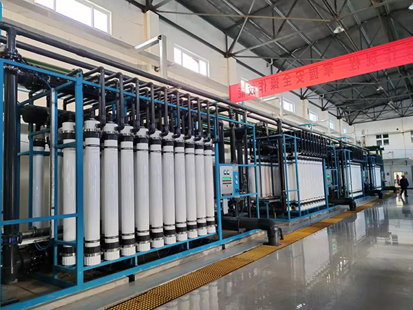 1639448030176681.jpg 5.jpg