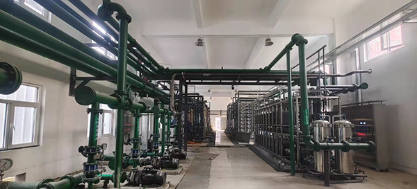 1642063266156397.jpg 7.jpg