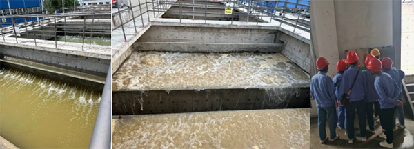 1654069289520140.jpg 項(xiàng)目141.jpg